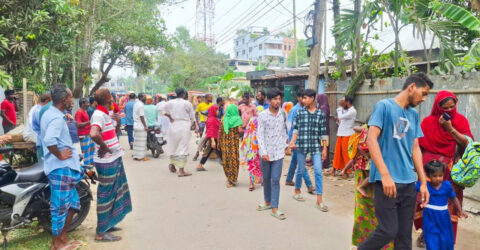 গাছ বিক্রি নিয়ে দ্বন্দ্বে ছেলের হাতে মা খুন