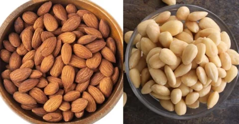 খোসা ছাড়িয়ে নাকি খোসাসহ খাবেন কাঠবাদাম?