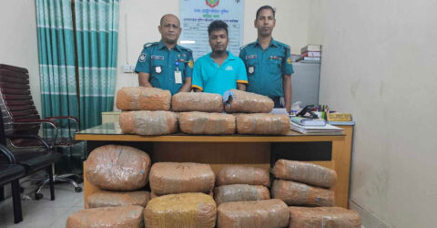 ভাটারায় বিপুল পরিমাণ গাঁজাসহ পেশাদার কারবারি গ্রেপ্তার