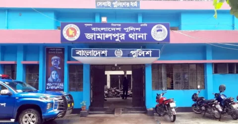 মাদকের টাকার জন্য মাকে কুপিয়ে হত্যা করলো ছেলে