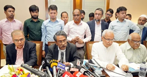 গণতান্ত্রিক সংগ্রামের মাধ্যমে অর্জিত বিজয়কে ভূলুণ্ঠিত করা হয়েছে: আলী রীয়াজ