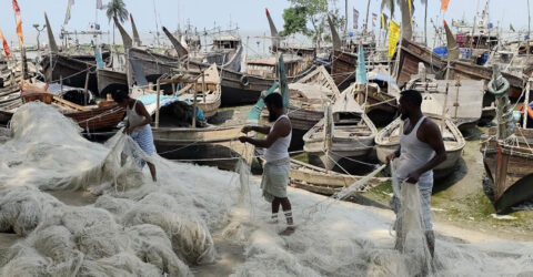 সাগরে মাছ ধরায় নিষেধাজ্ঞা, কর্মহীন ভোলার ৬৫ হাজার জেলে
