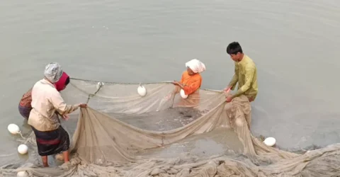মধ্যরাত থেকে কাপ্তাই হ্রদে মাছ শিকার বন্ধ
