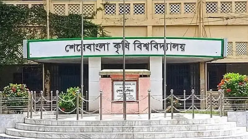 সন্ধ্যা হলেই ক্যাম্পাসে বসছে মাদকের আসর, ঘটছে র্যাগিং