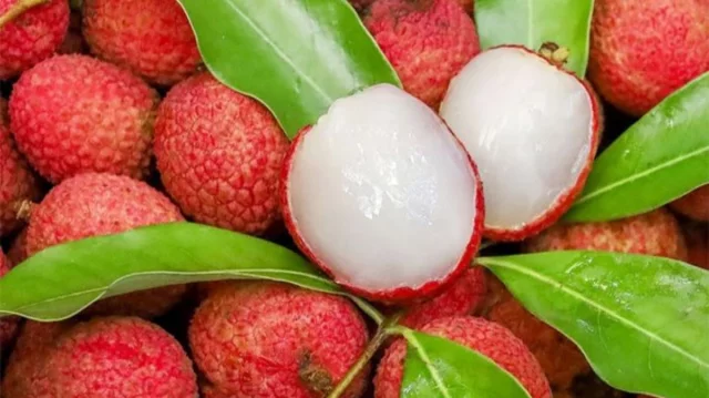 লিচুর বিচি গলায় আটকে প্রাণ গেল ২ বছরের শিশুর