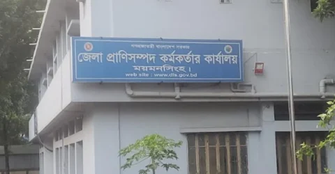 চাহিদার চেয়ে অর্ধলক্ষাধিক কোরবানির পশু বেশি