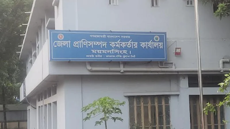 চাহিদার চেয়ে অর্ধলক্ষাধিক কোরবানির পশু বেশি