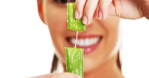 রাতে ত্বকে অ্যালোভেরা জেল লাগানোর উপকারিতা