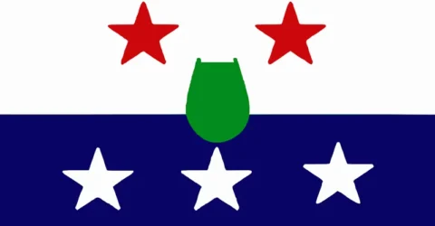 প্রবাসীদের ভোট গ্রহণ চায় না বিকল্পধারা