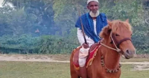 ৩ হাজারের বেশি গোরখোদক মনু মিয়া হাসপাতালে, কাটখালে মৃত অবস্থায় মিলল ঘোড়াটি