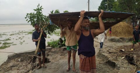 কুড়িগ্রামে বাড়ছে নদ-নদীর পানি, ভাঙনে দিশেহারা নদীপাড়ের মানুষ