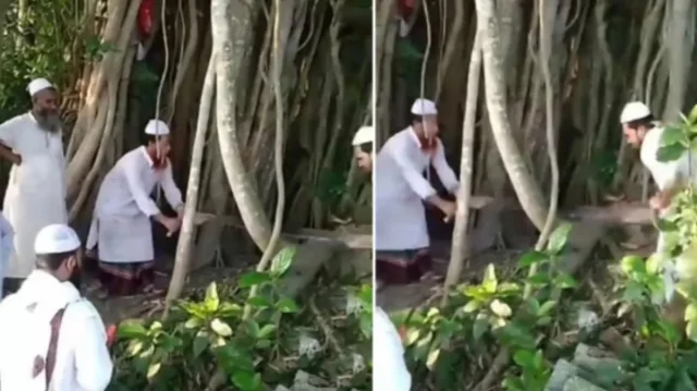 ‘শিরক’ আখ্যা দিয়ে কেটে ফেলা সেই গাছটি মাদ্রাসায় বিক্রির দাবি মালিকের