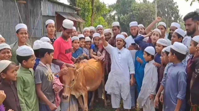 আওয়ামী লীগ নিষিদ্ধের খুশিতে গরু জবাই করে খাওয়ালেন ‘শিশু বক্তা’ রফিকুল