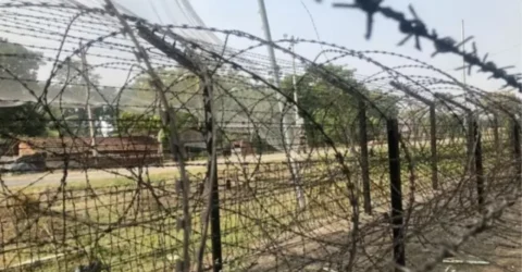 বাংলাদেশের সীমান্তে ভারত কাদের ঠেলে দিচ্ছে?