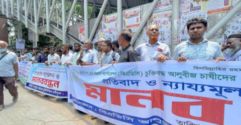 আলুর বীজের দাম পুনর্র্নিধারণের দাবি