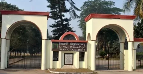 ইবিতে বেড়েছে সাপের উপদ্রব, আতঙ্কে শিক্ষার্থীরা